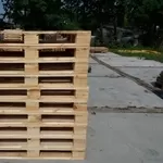 Покупка деревянных поддонов