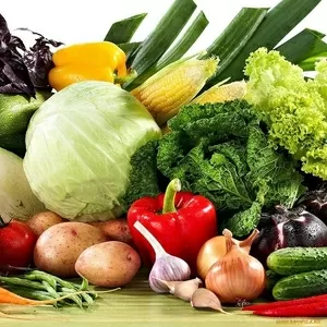 Куплю овощи по всей Беларуси