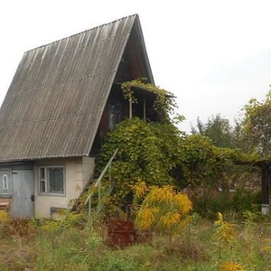 Купить Дом В Брестском Районе Недорого