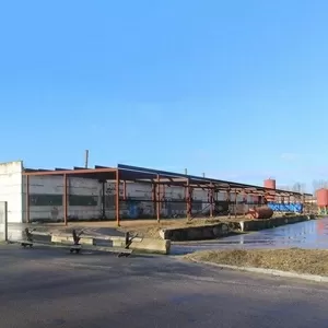 Производственно-складская база в собственность. y180352