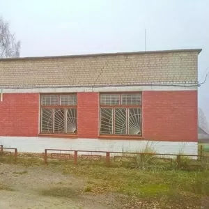 Здание магазина в собственность в д. Залузье y183072