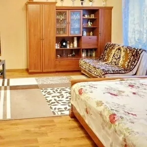 1-комнатная квартира,  г. Брест,  ул. Телеханская,  2006 г.п w183344