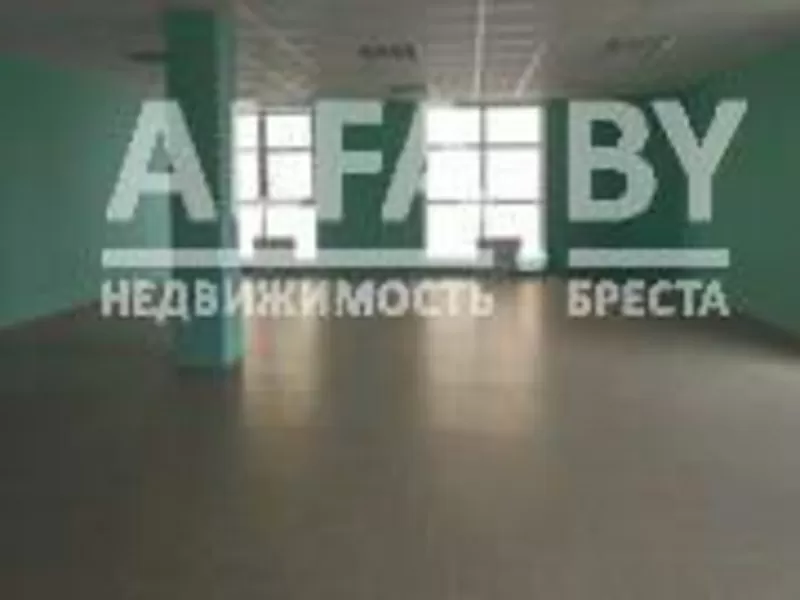 Административно-торговые помещения в аренду в центре г.Бреста. a130301 7