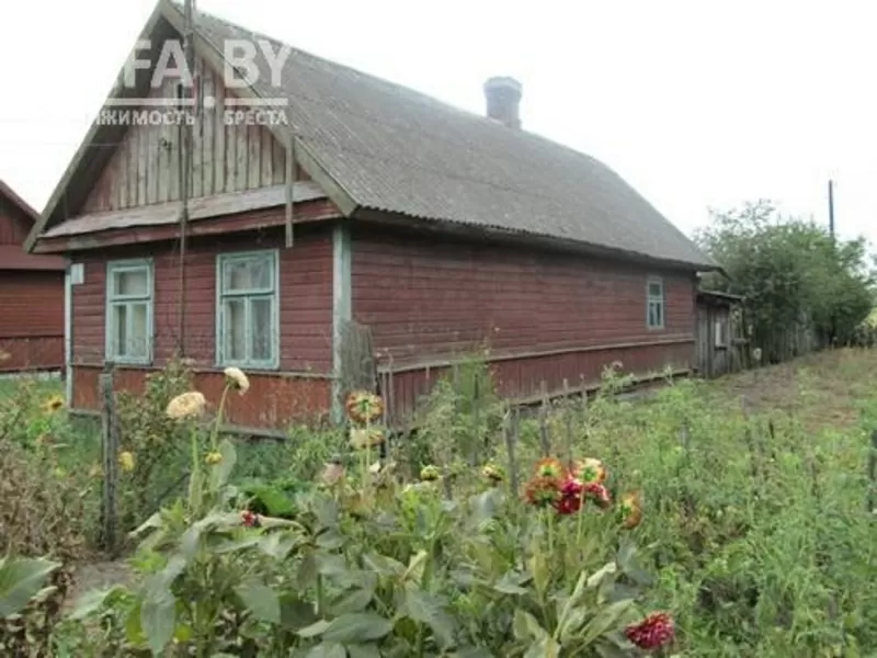 Жилой дом 1949 г.п. г. Брест. Брус / шифер. 1 этаж. d150697 3