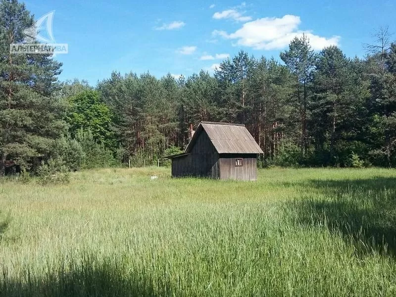 Земельный участок с ветхим домом в Брестском р-не. r180001 7