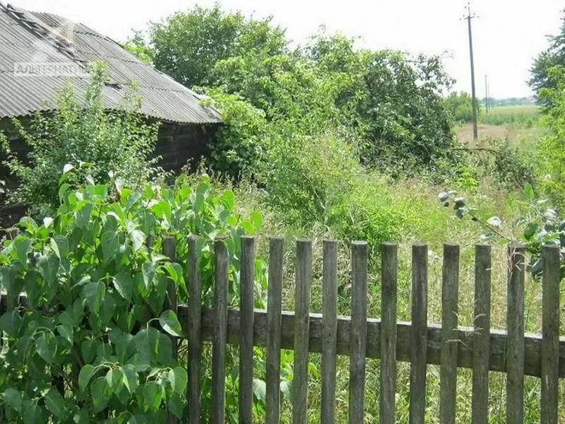 Дом под снос в Брестском р-не. 1924 г.п. r172135 2