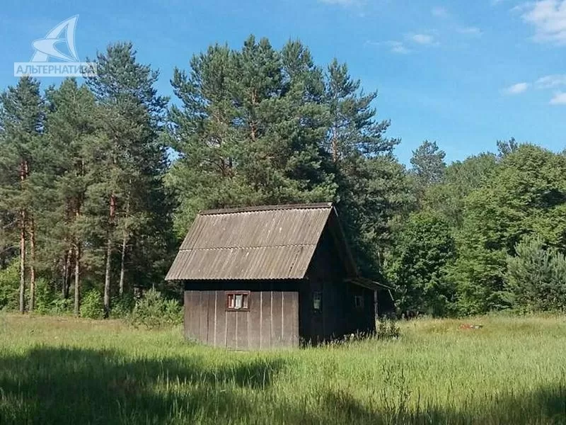 Земельный участок с ветхим домом в Брестском р-не. r180001