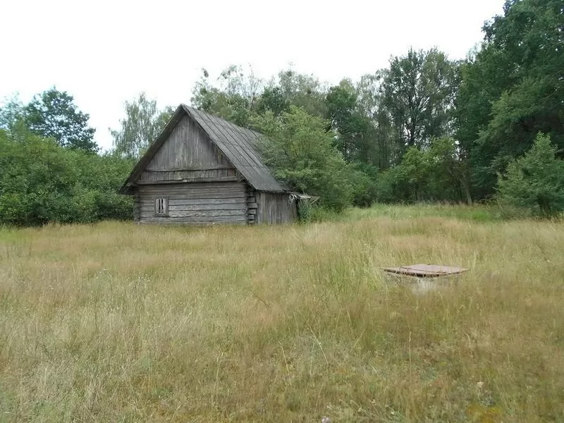 Жилой дом. 1990 г.п. Малоритский р-он. брус / шифер. r162863 5