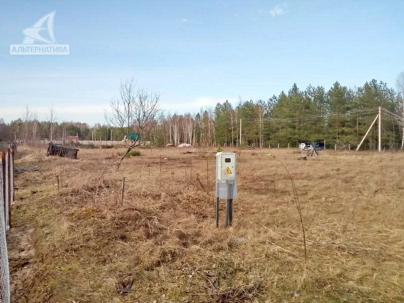 Садовый участок в Брестском р-не. Участок - 0, 1000 га. r180598