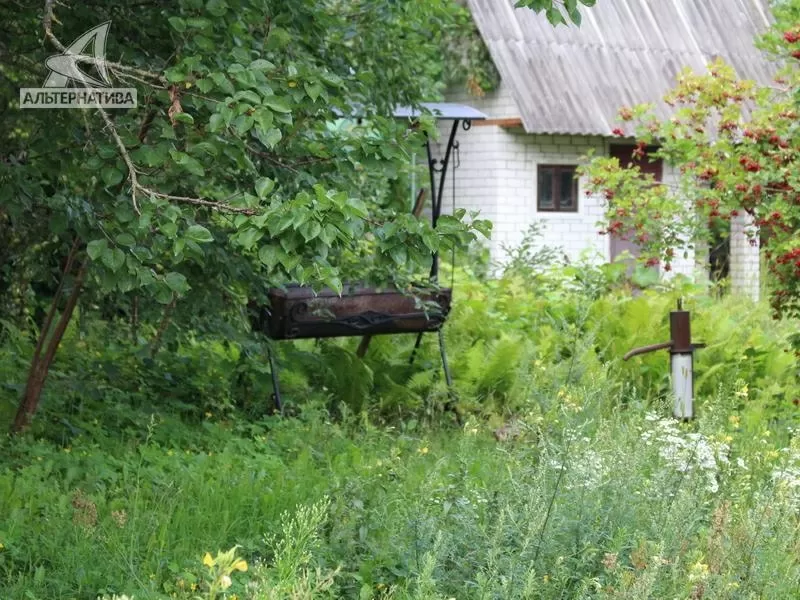 Садовый участок в Брестском р-не. Участок - 0, 0502 га. r181822 3