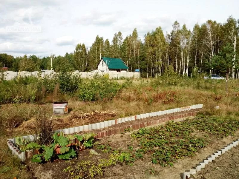 Садовый участок в Брестском р-не. Участок - 0, 0994 га. r182408